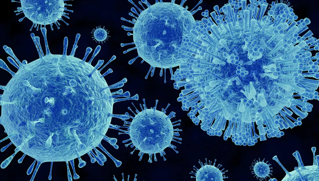 Norovirus Outbreak in the US, prevention tips, symptoms, and treatment